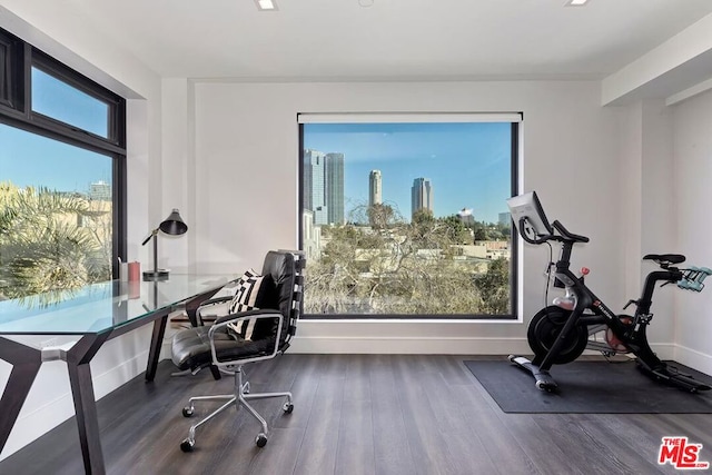 office featuring dark hardwood / wood-style floors