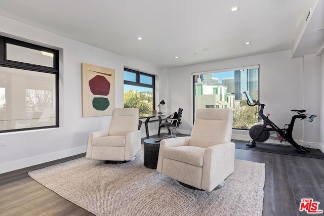 living area with dark wood-type flooring