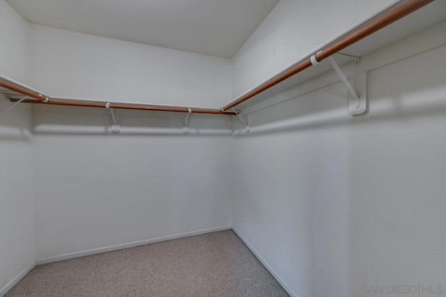 spacious closet with carpet