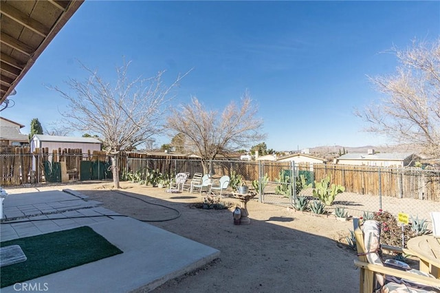 view of yard featuring a patio area