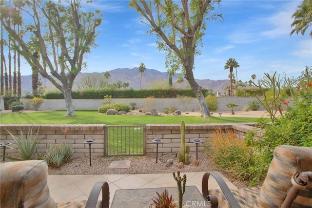 view of patio / terrace with a mountain view