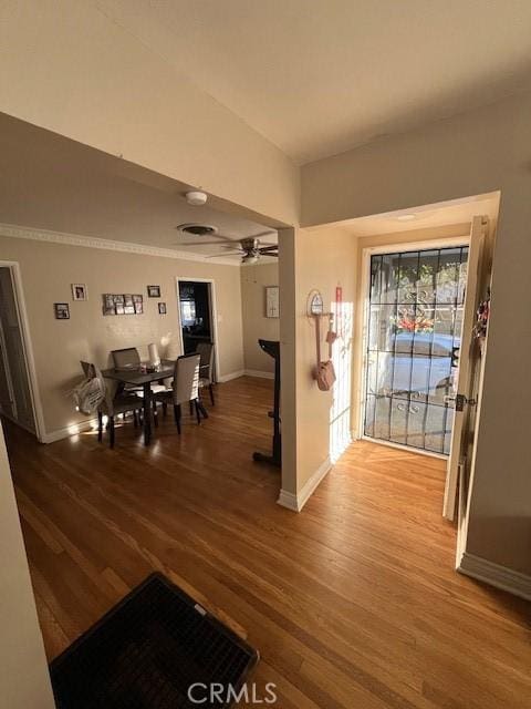 foyer featuring ceiling fan and hardwood / wood-style floors