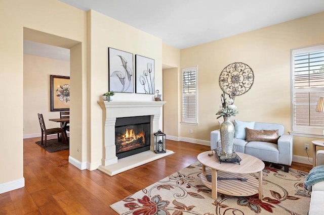 living room with hardwood / wood-style flooring