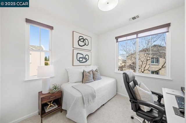 carpeted bedroom with multiple windows