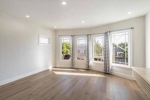 entryway featuring hardwood / wood-style flooring and plenty of natural light