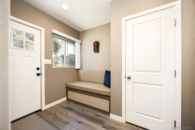 interior space featuring hardwood / wood-style floors