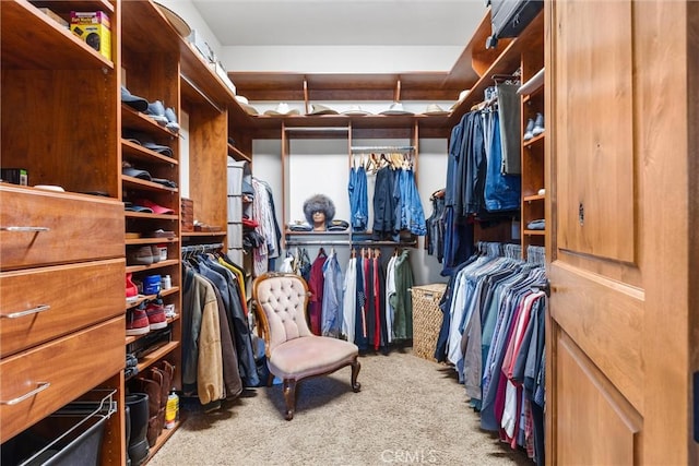 spacious closet with carpet flooring