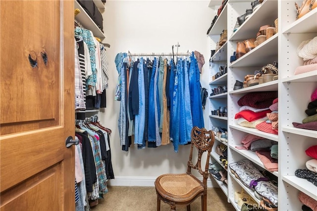 walk in closet featuring carpet flooring