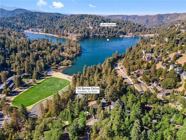 drone / aerial view with a water and mountain view