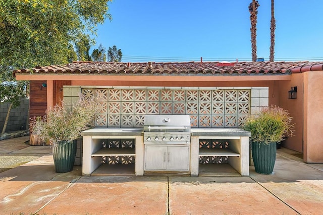 view of patio featuring grilling area and exterior kitchen