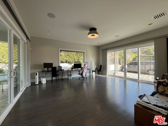 office area featuring a healthy amount of sunlight and dark hardwood / wood-style flooring