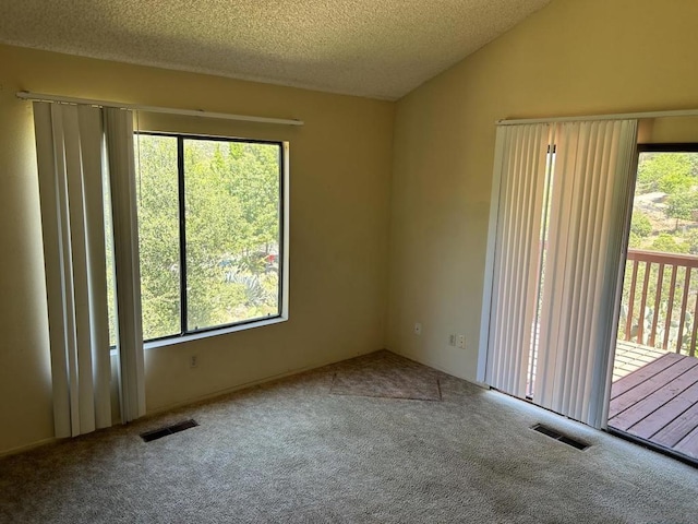 unfurnished room featuring vaulted ceiling, carpet, and a textured ceiling