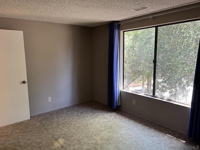 carpeted empty room with plenty of natural light and a textured ceiling