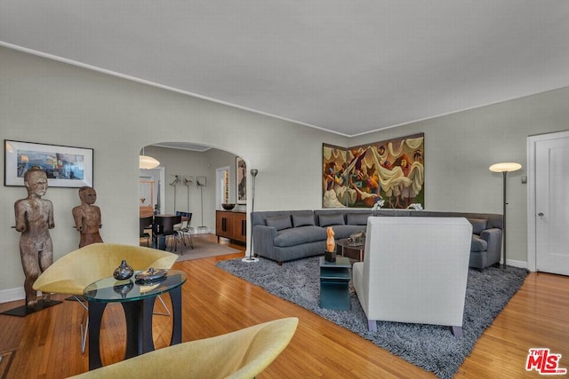 living room with hardwood / wood-style floors