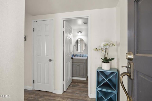 bathroom featuring wood-type flooring and vanity