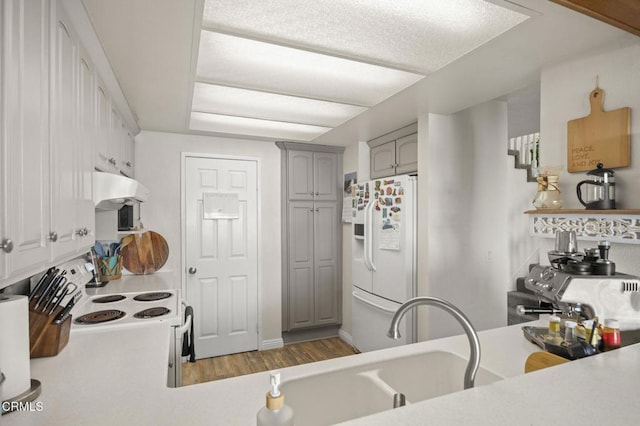 kitchen with white appliances, a textured ceiling, light hardwood / wood-style flooring, sink, and gray cabinetry