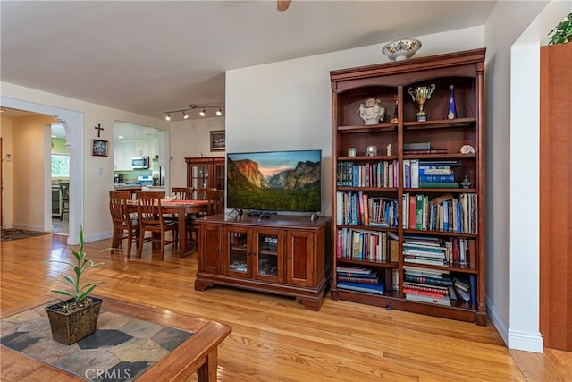 living room with light wood-type flooring