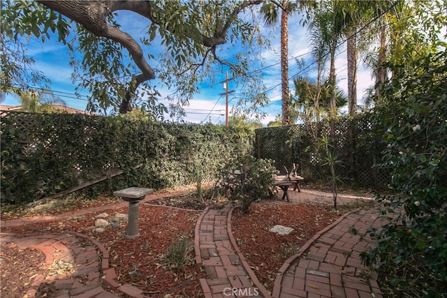 view of yard with a patio area