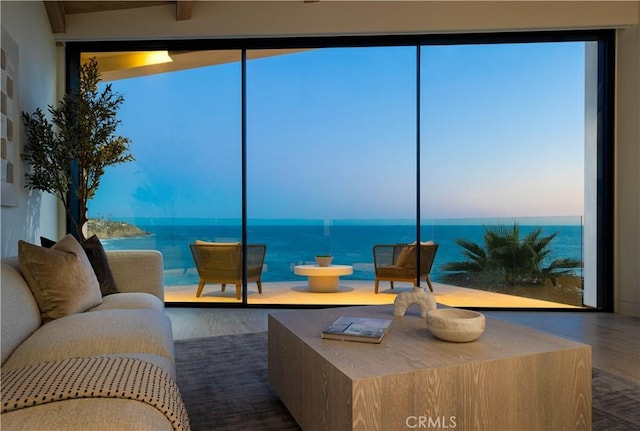 interior space with dark hardwood / wood-style flooring and a water view