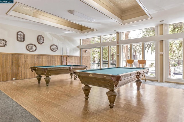 playroom with light wood-type flooring and pool table