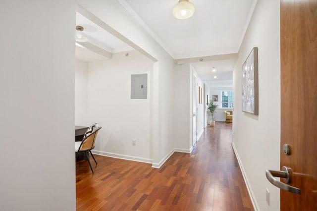 corridor featuring ornamental molding, electric panel, and dark wood-type flooring