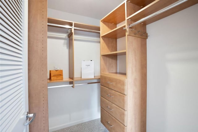 spacious closet with carpet