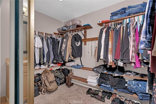 spacious closet featuring carpet flooring