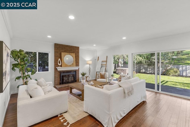 living room featuring hardwood / wood-style floors, crown molding, and a fireplace