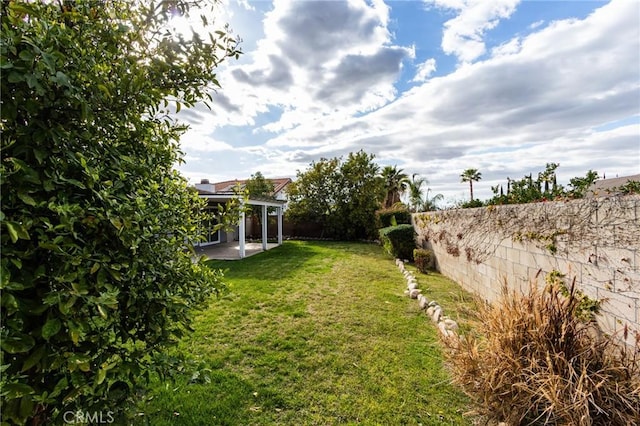 view of yard with a patio area and a fenced backyard