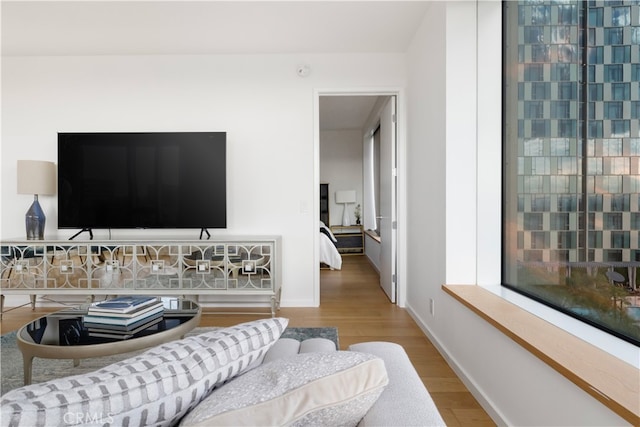 living room featuring wood-type flooring