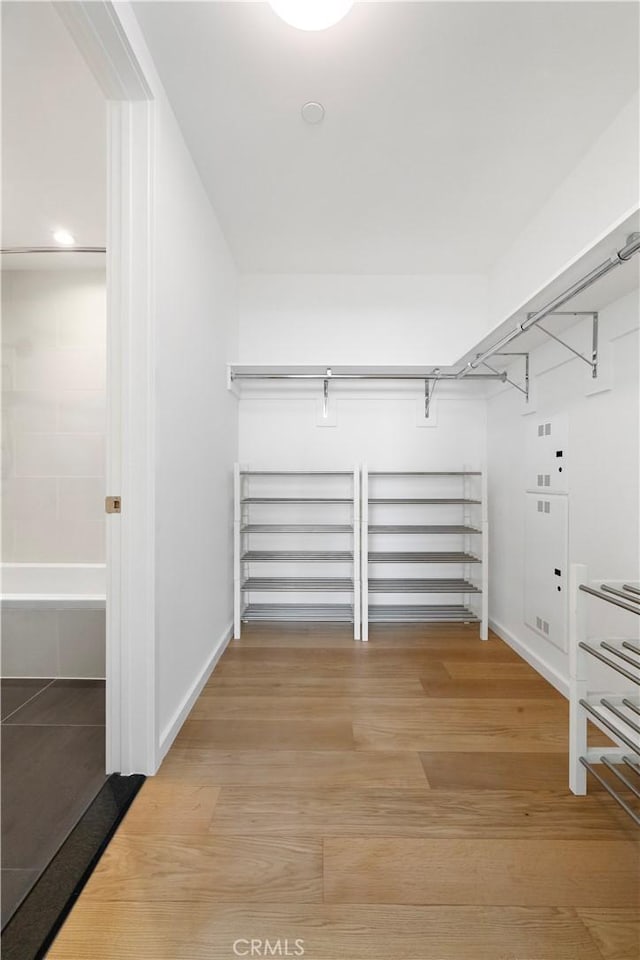 walk in closet with wood-type flooring