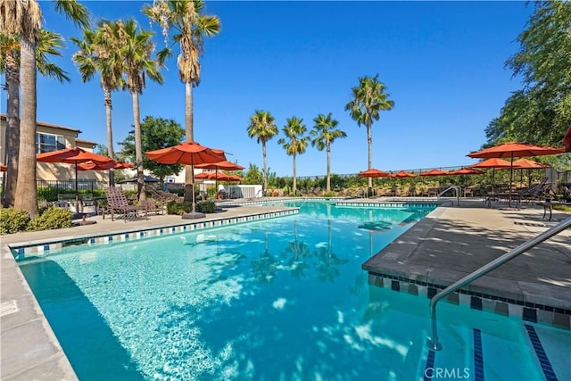 view of swimming pool