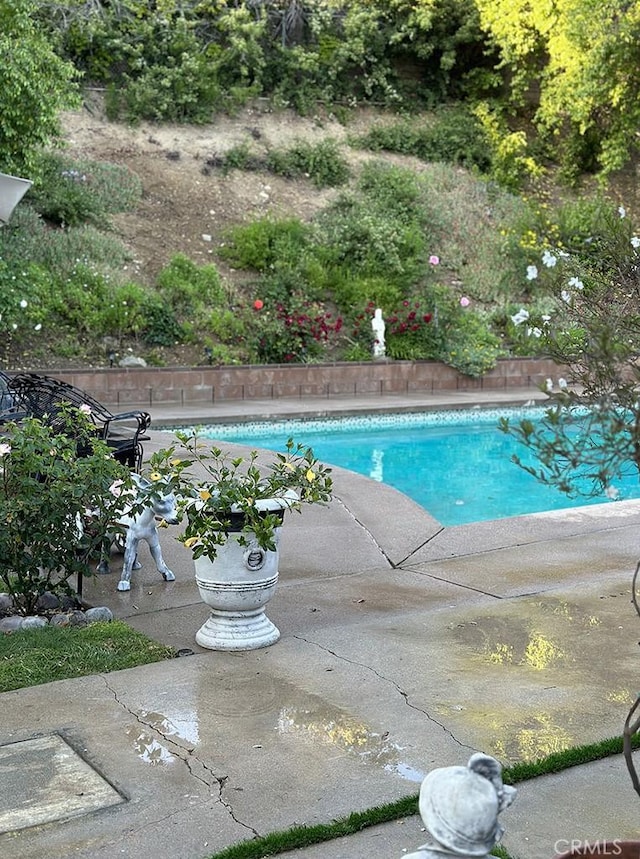 view of swimming pool with a patio