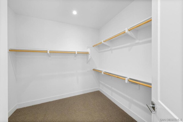 spacious closet featuring carpet