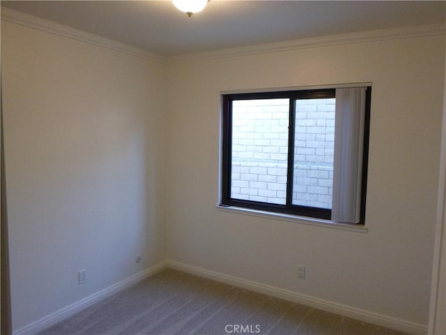 spare room featuring crown molding and carpet flooring