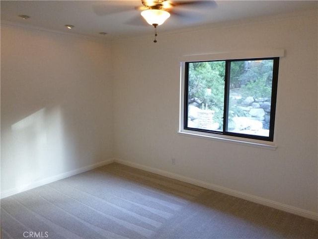 spare room featuring ceiling fan, crown molding, and carpet floors