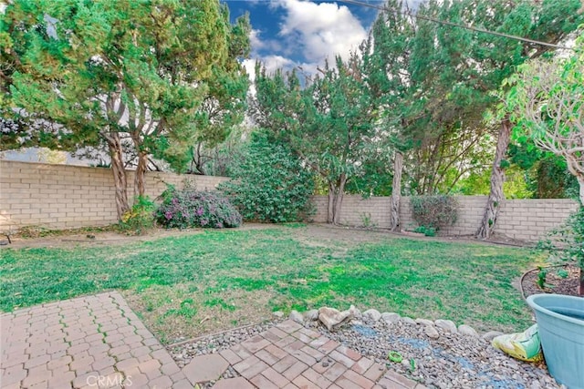 view of yard with a patio area