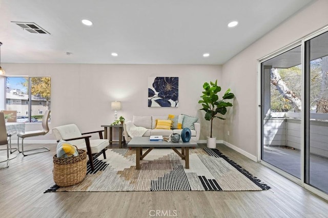 living room with hardwood / wood-style floors