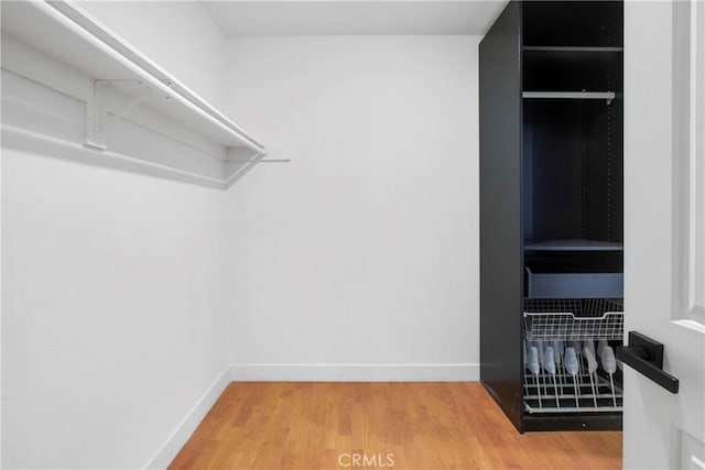 spacious closet with hardwood / wood-style floors