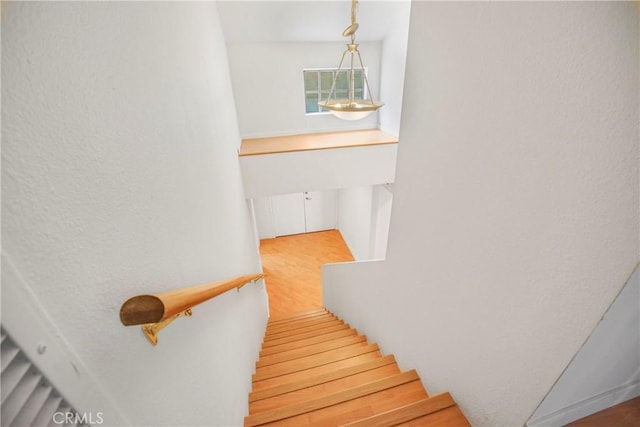 stairway with hardwood / wood-style floors