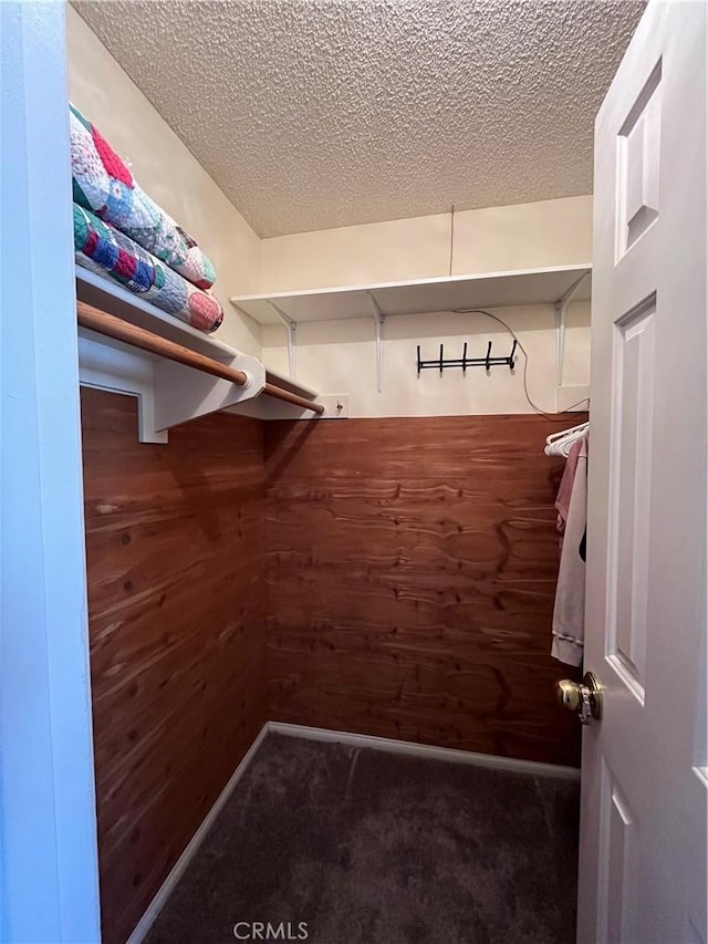 spacious closet with dark carpet