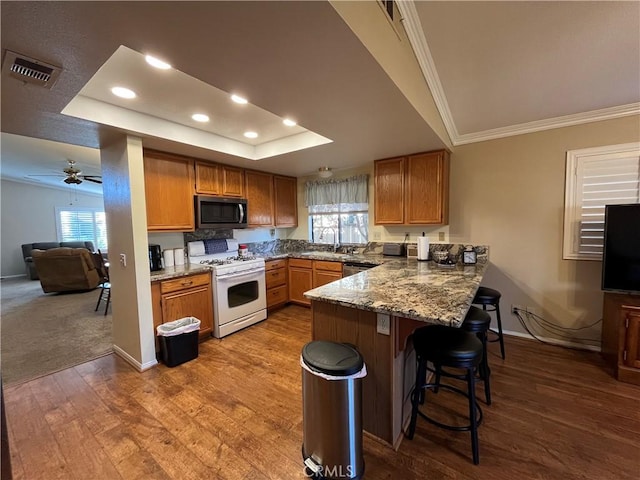 kitchen with kitchen peninsula, a kitchen bar, a tray ceiling, and stainless steel appliances