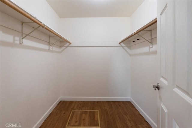 walk in closet featuring dark wood-type flooring