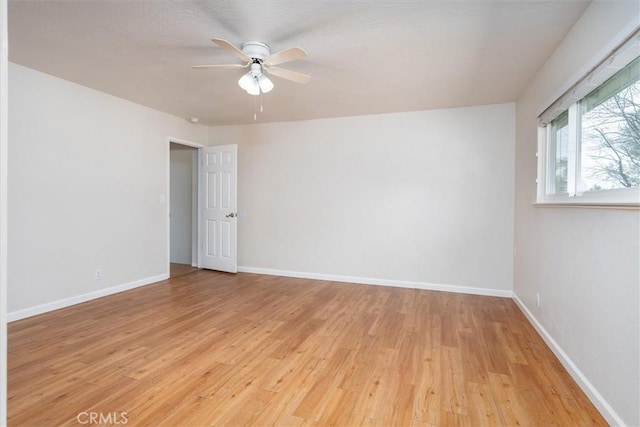 empty room featuring ceiling fan and light wood-type flooring