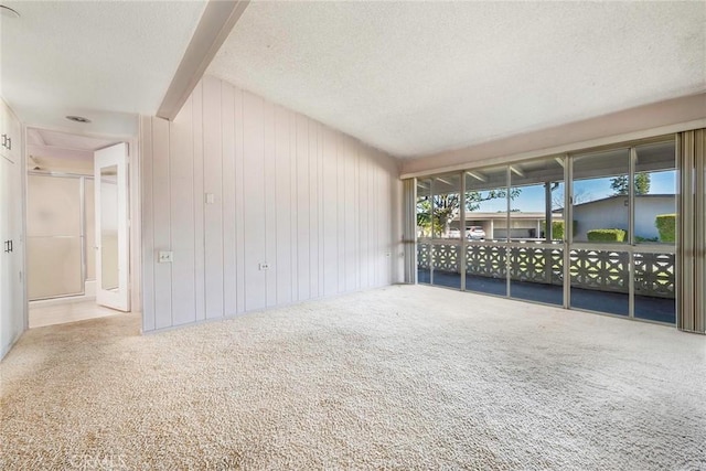 empty room featuring wood walls and light carpet