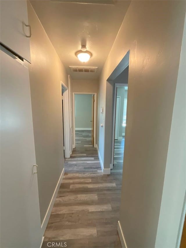 hallway featuring hardwood / wood-style floors and a barn door