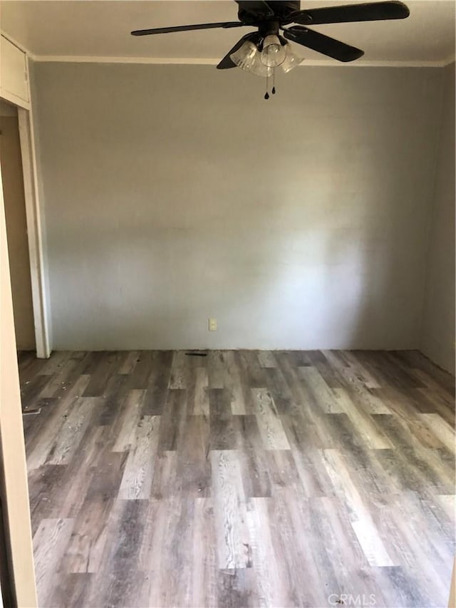 spare room with wood-type flooring, ceiling fan, and ornamental molding