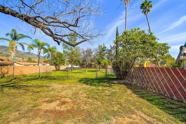 view of yard featuring a mountain view