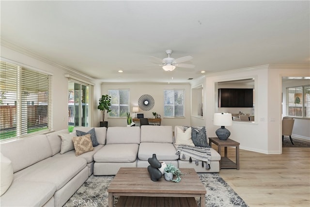 living room featuring light wood-type flooring, ceiling fan, and crown molding