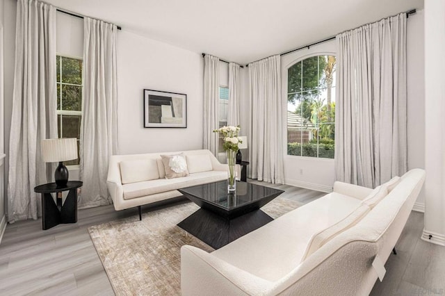 living room featuring light hardwood / wood-style floors